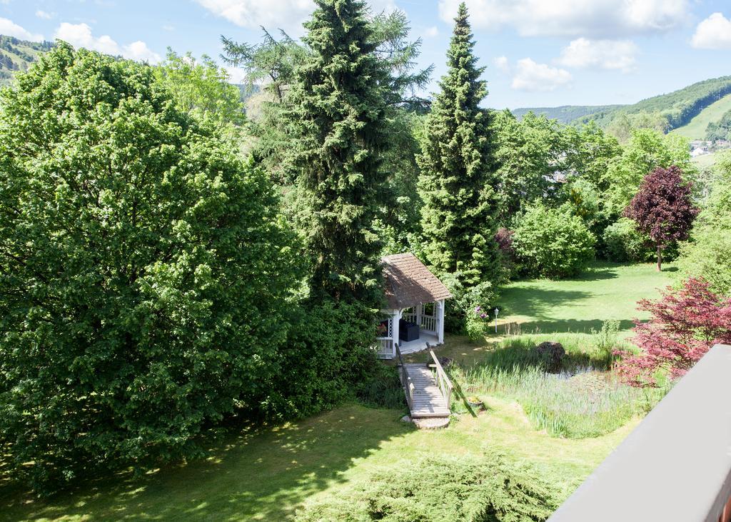Landhaus Wiesemann Parkappartements & Dependance - Naehe Ettelsberg-Talstation Willingen  Exterior photo